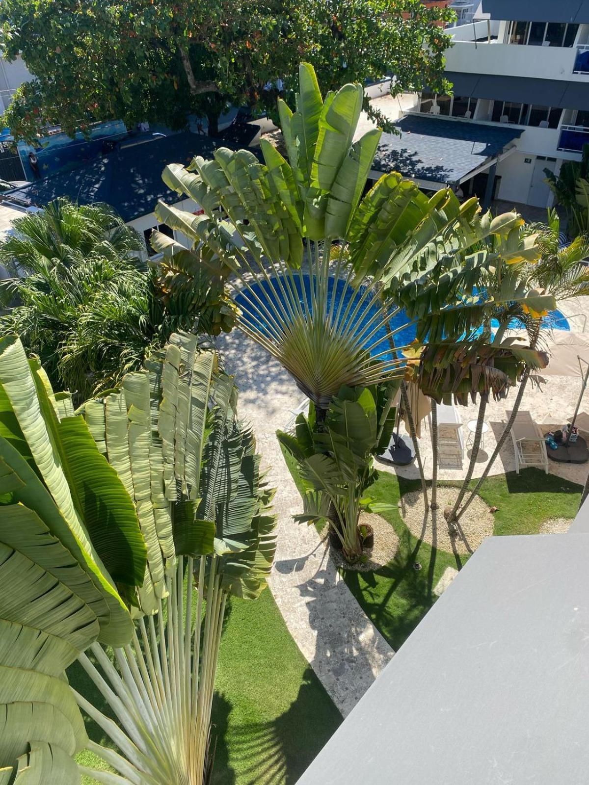 New Garden Hotel Sosúa Kültér fotó